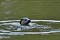 04 01 17_5283_edited-1